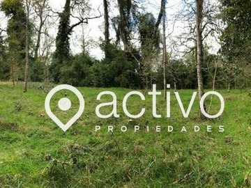 Venta / Terreno / Valdivia