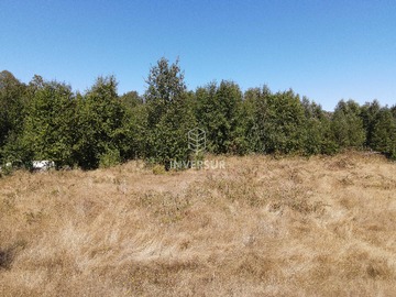 Venta / Terreno / Valdivia
