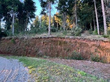 Venta / Terreno / Valdivia