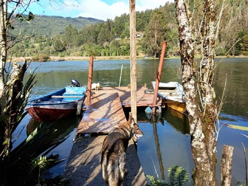 Venta / Terreno / Valdivia