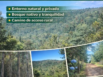 Venta / Terreno / Valdivia