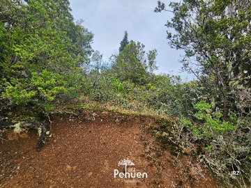 Interior Parcela