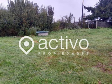 Imagen 9