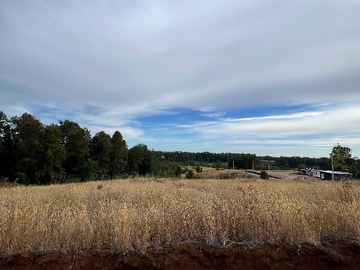 Venta / Terreno / Valdivia