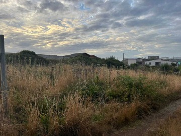 Venta / Terreno / Valdivia