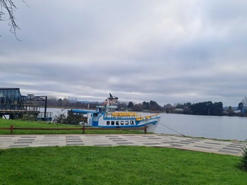 Venta / Terreno / Valdivia