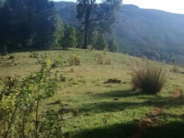Imagen 9