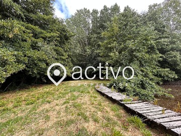 Imagen 7