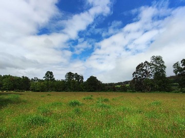 Venta / Terreno / Valdivia