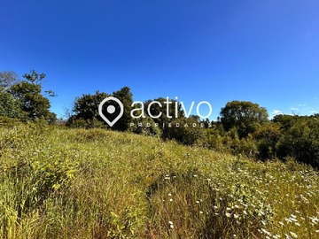 Venta / Terreno / Valdivia