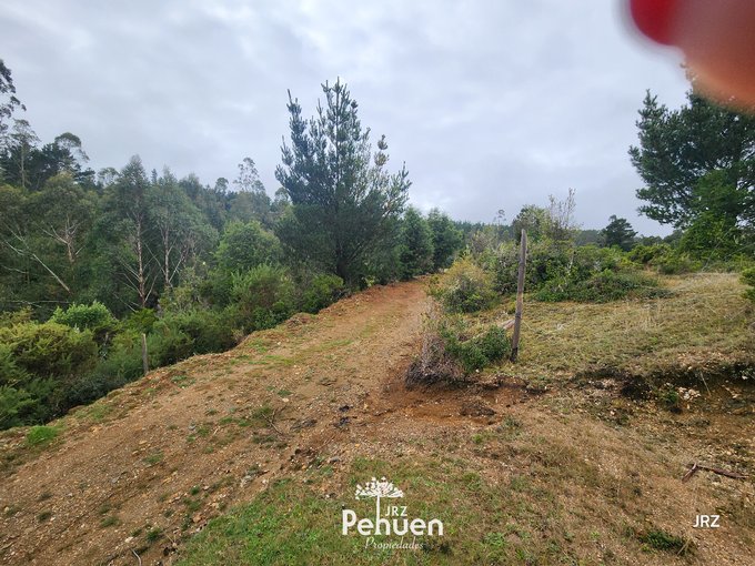 Acceso Parcela