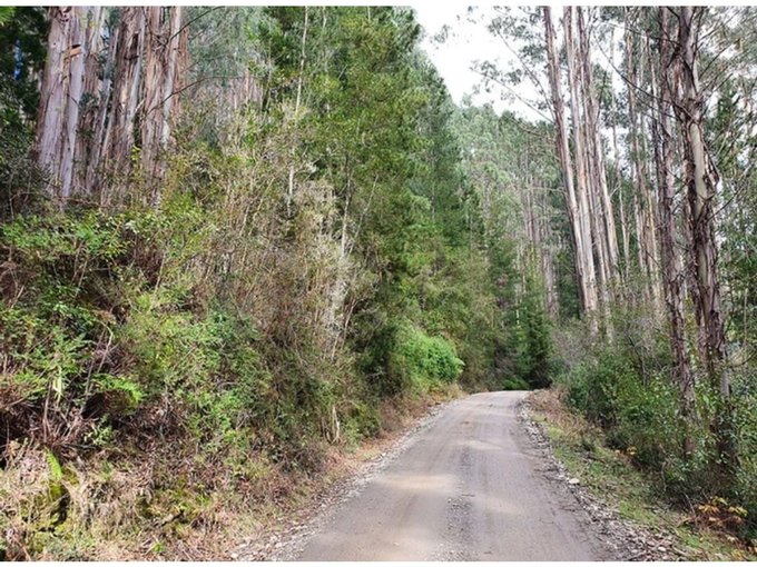 terreno venta valdivia buenos accesos