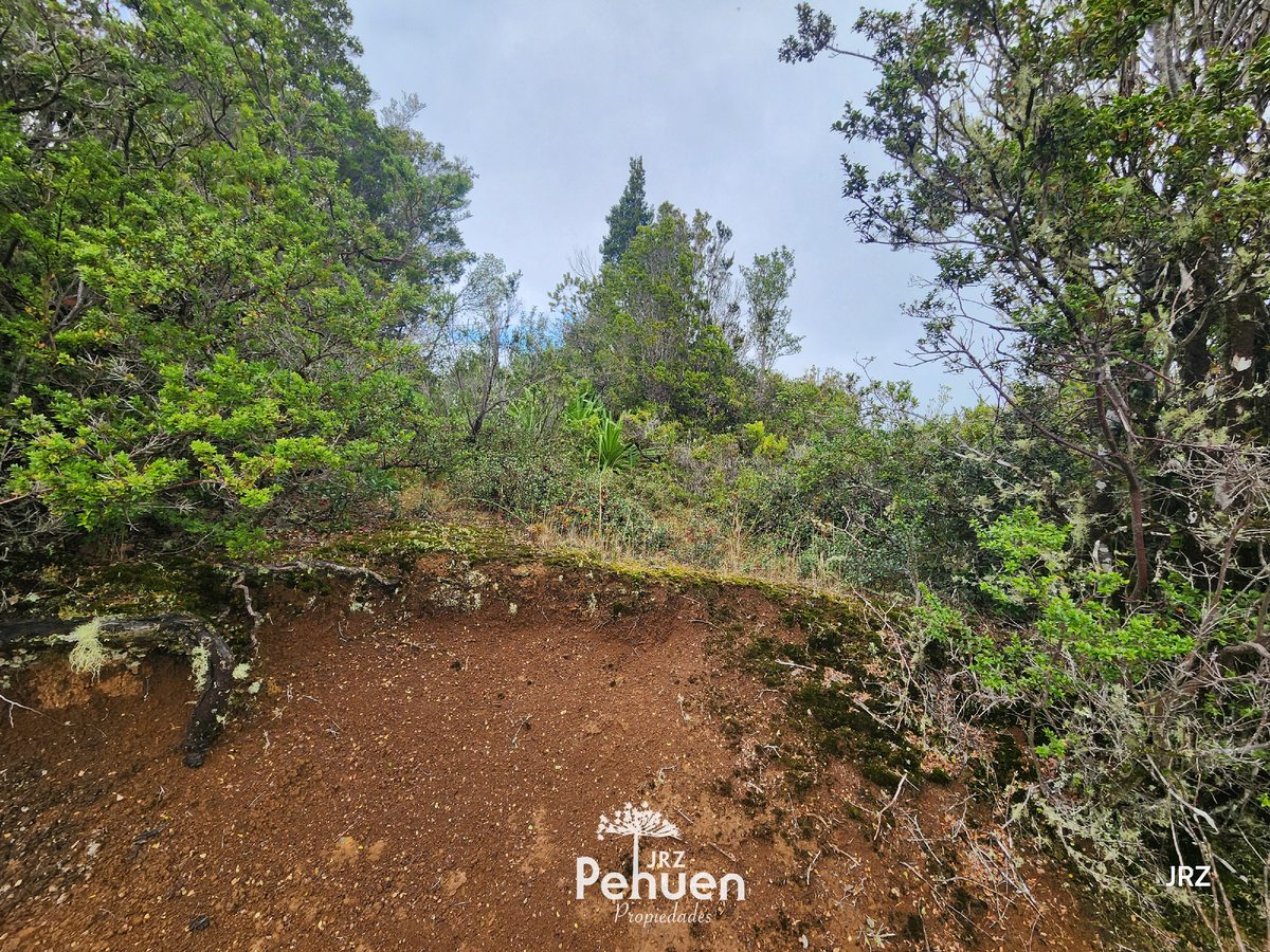 Interior Parcela
