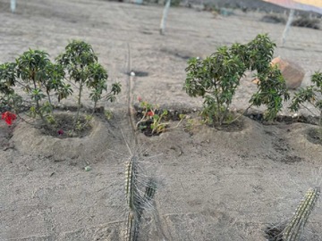 Venta / Terreno / Vallenar