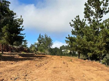 Venta / Terreno / Valparaíso