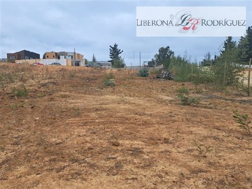 Imagen 5