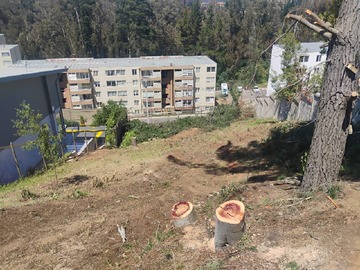 Venta / Terreno / Valparaíso