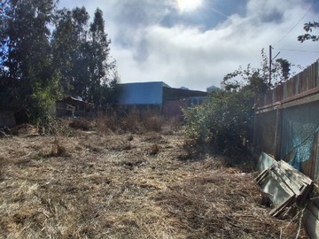 Imagen 7