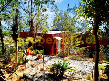 Venta / Terreno / Valparaíso