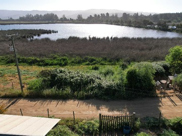 Venta / Terreno / Vichuquén