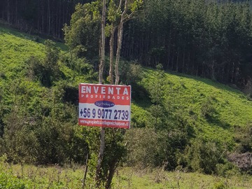 Venta / Terreno / Vichuquén