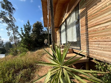 Imagen 12