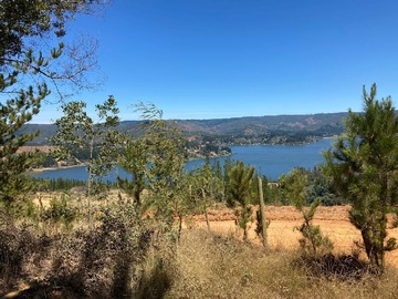 Venta / Terreno / Vichuquén