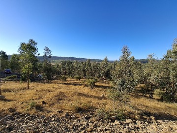 Venta / Terreno / Vichuquén