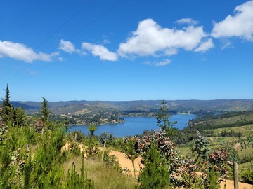 Venta / Terreno / Vichuquén