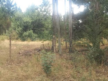 Venta / Terreno / Victoria