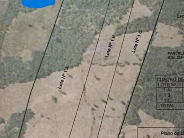 Venta / Terreno / Victoria