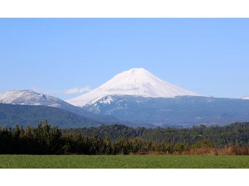 Venta / Terreno / Victoria