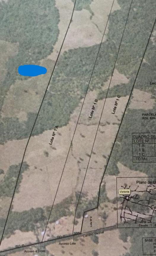 Parcelación California