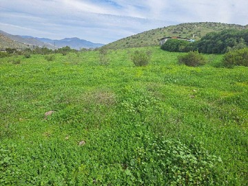 Venta / Terreno / Vicuña