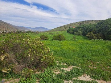 Venta / Terreno / Vicuña