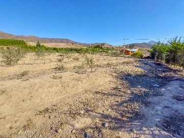 Venta / Terreno / Vicuña