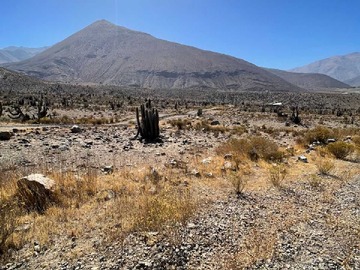Venta / Terreno / Vicuña