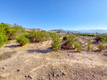 Venta / Terreno / Vicuña