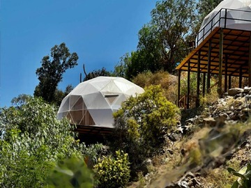 Venta / Terreno / Vicuña