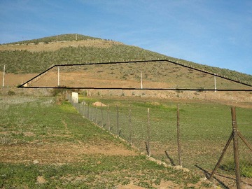 Venta / Terreno / Vicuña
