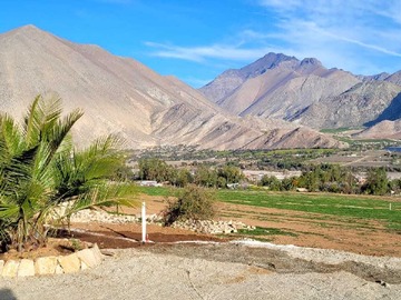 Venta / Terreno / Vicuña