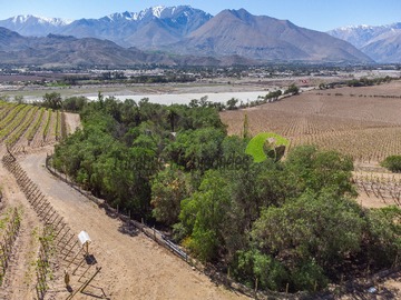 Venta / Terreno / Vicuña