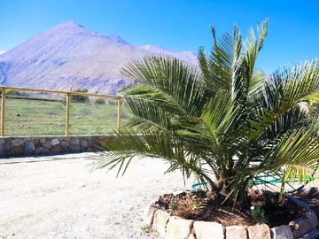 Imagen 7