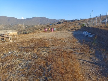 Imagen 6