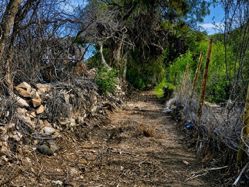 Imagen 15