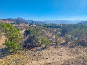 Venta / Terreno / Vicuña