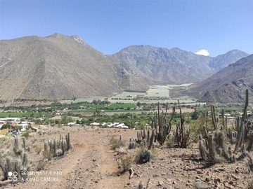 Venta / Terreno / Vicuña