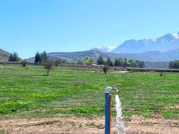 Imagen 5