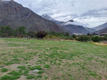 Venta / Terreno / Vicuña