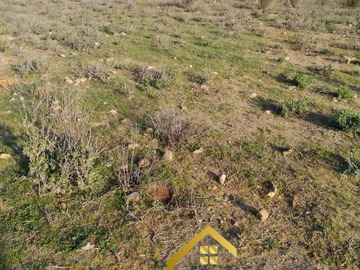 Venta / Terreno / Vicuña